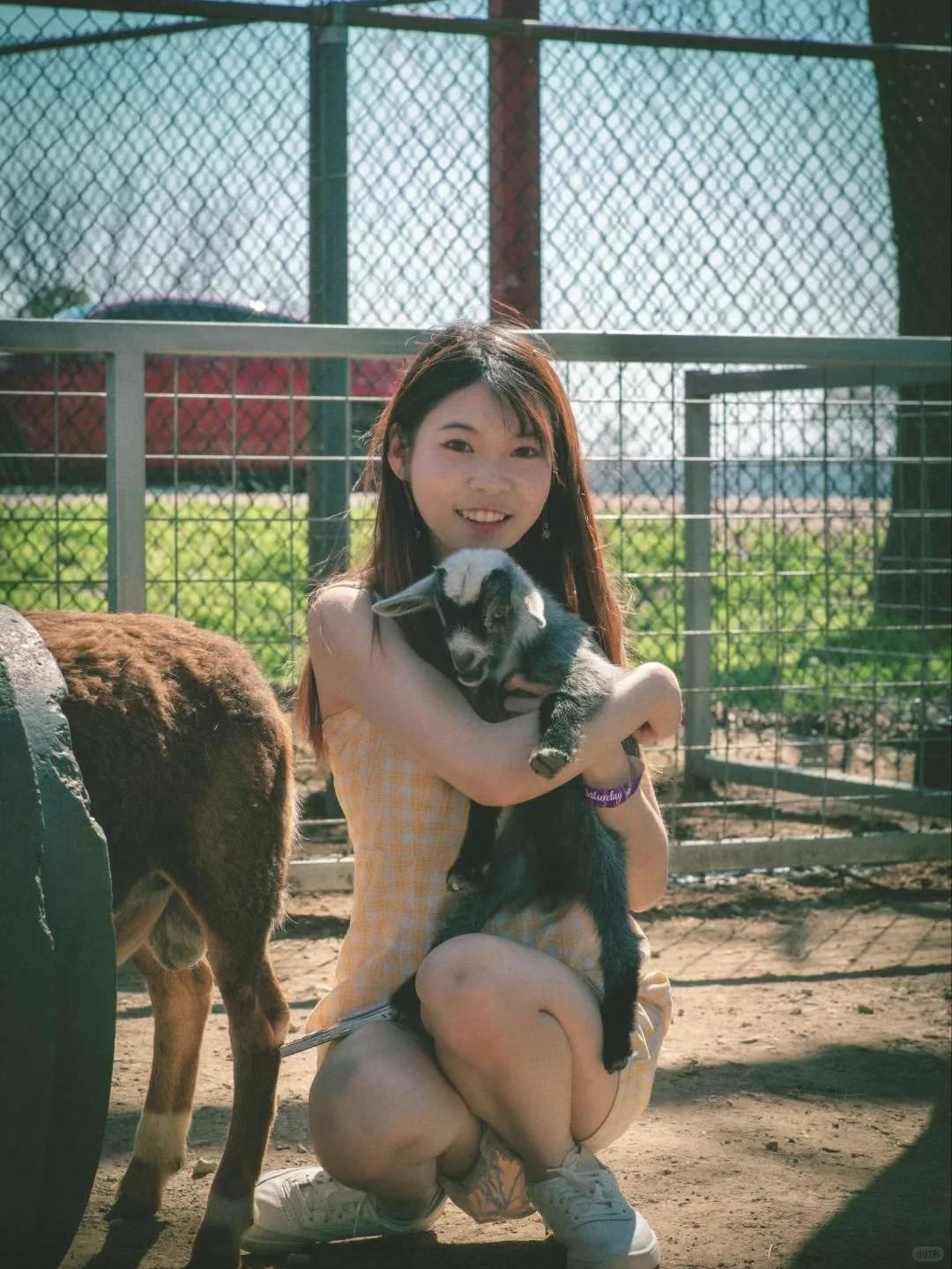 Must-Visit Massive Ranch in Dallas