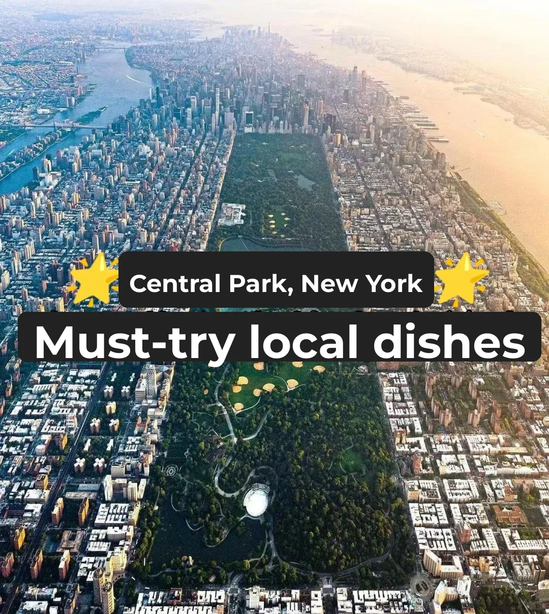 Must-Try Local Eats in New York's Central Park‼️