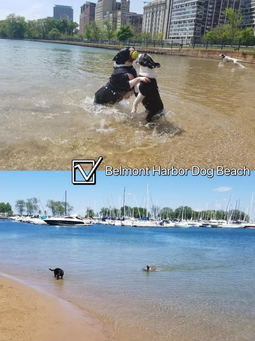 Chicago | Who Says You Need an Ocean to Have a Beach?