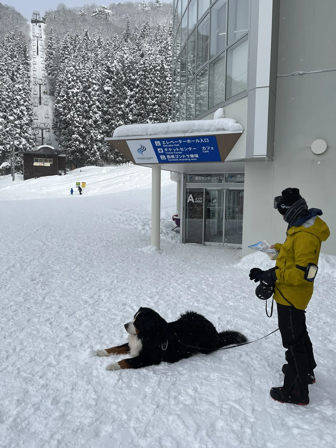 Rumored to Be Japan's Most Cost-Effective Ski Resort