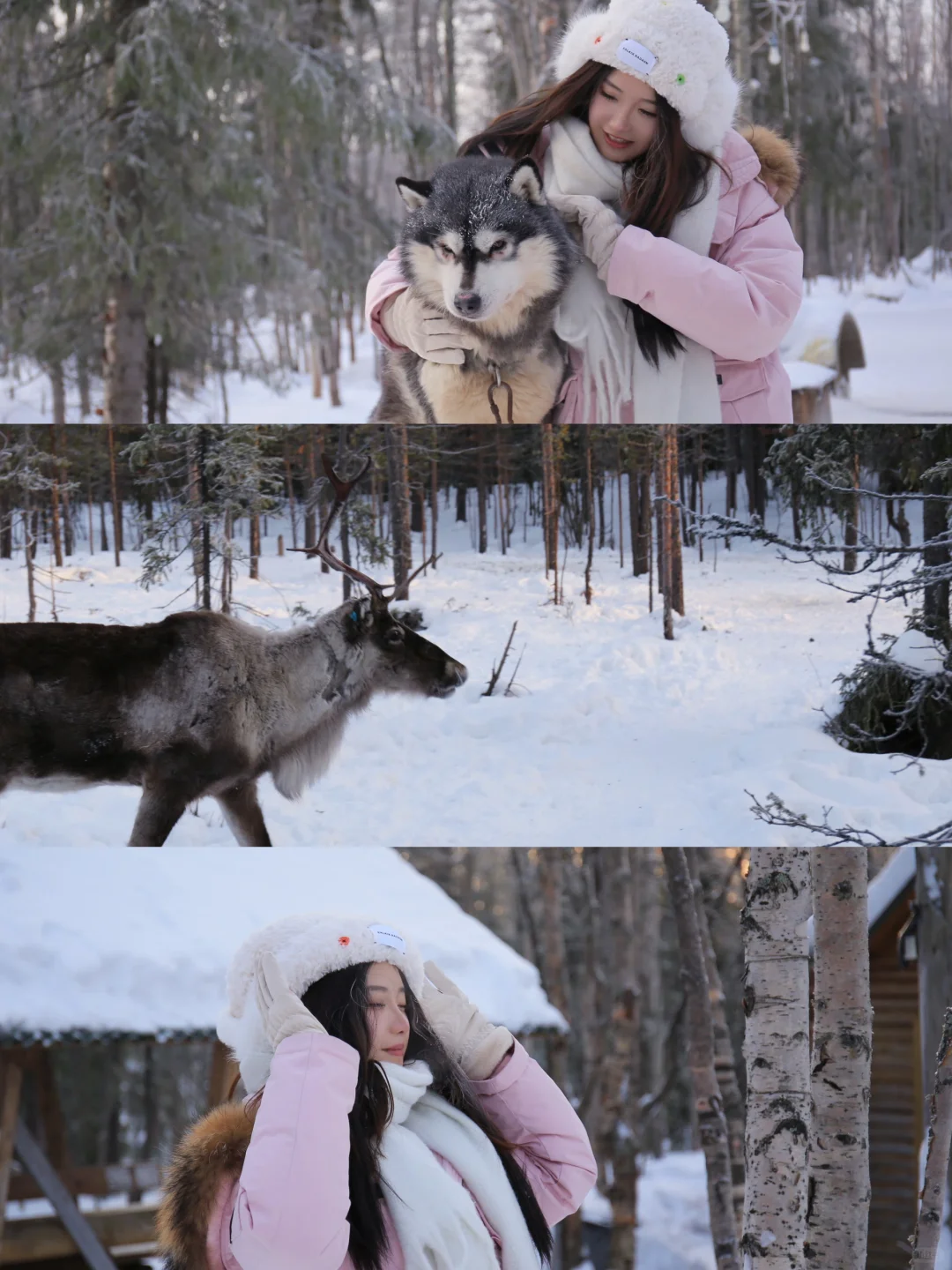 The Arctic Circle is Stunning! | Travel Captions for Instagram