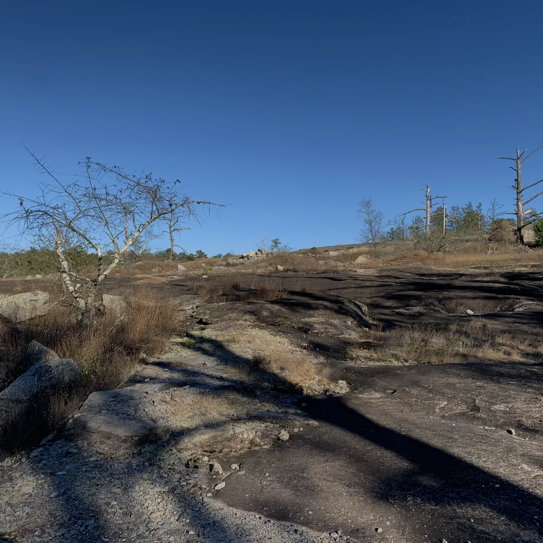 Arabia ⛰ & 9292 BBQ