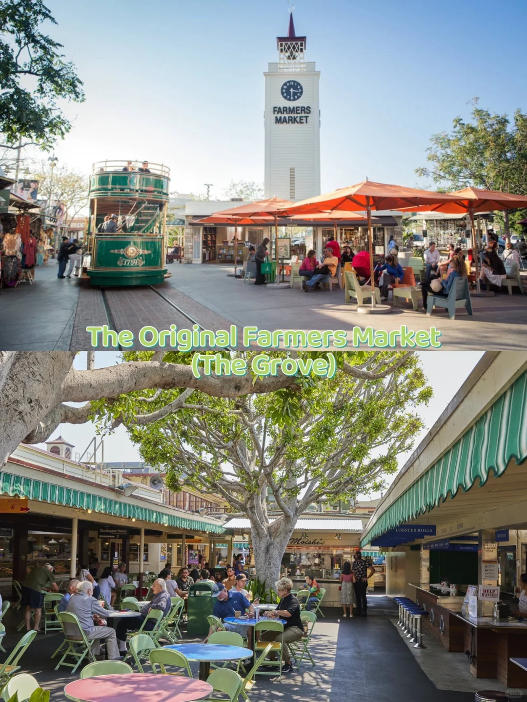 9 Must-Visit Farmers Markets in LA! Grab All the Fresh Produce You Can Handle!