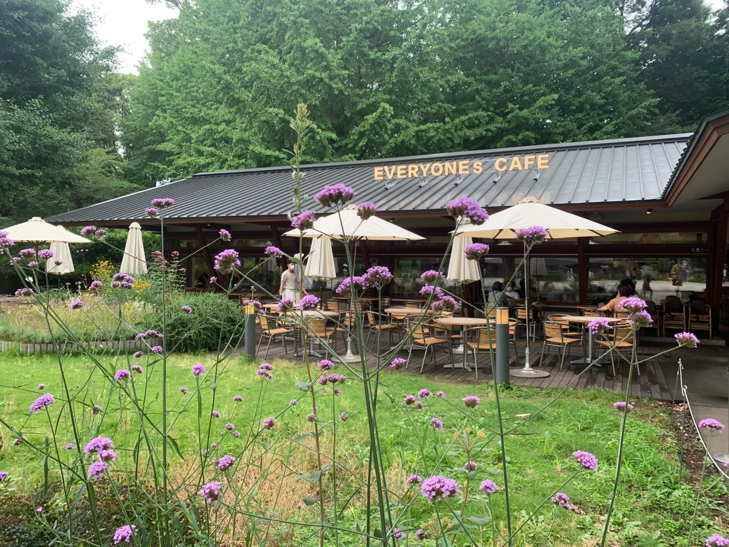 Ultimate Chill Café at Ueno Park ☕️