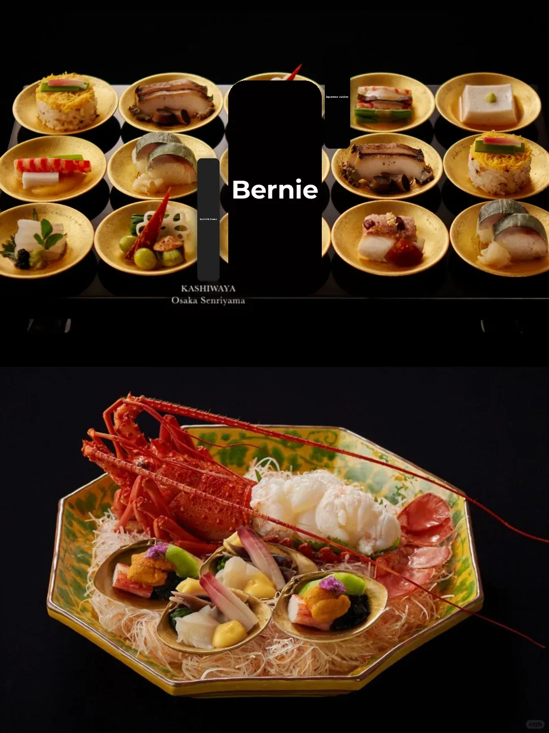 Osaka Michelin-Starred Restaurant Picks | Don't Miss These Three!