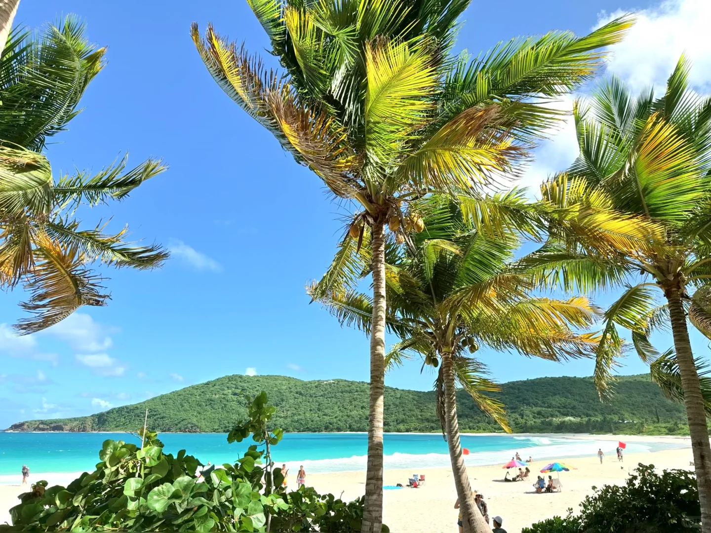 One Week in Puerto Rico - Part 2: Feast Feast Feast