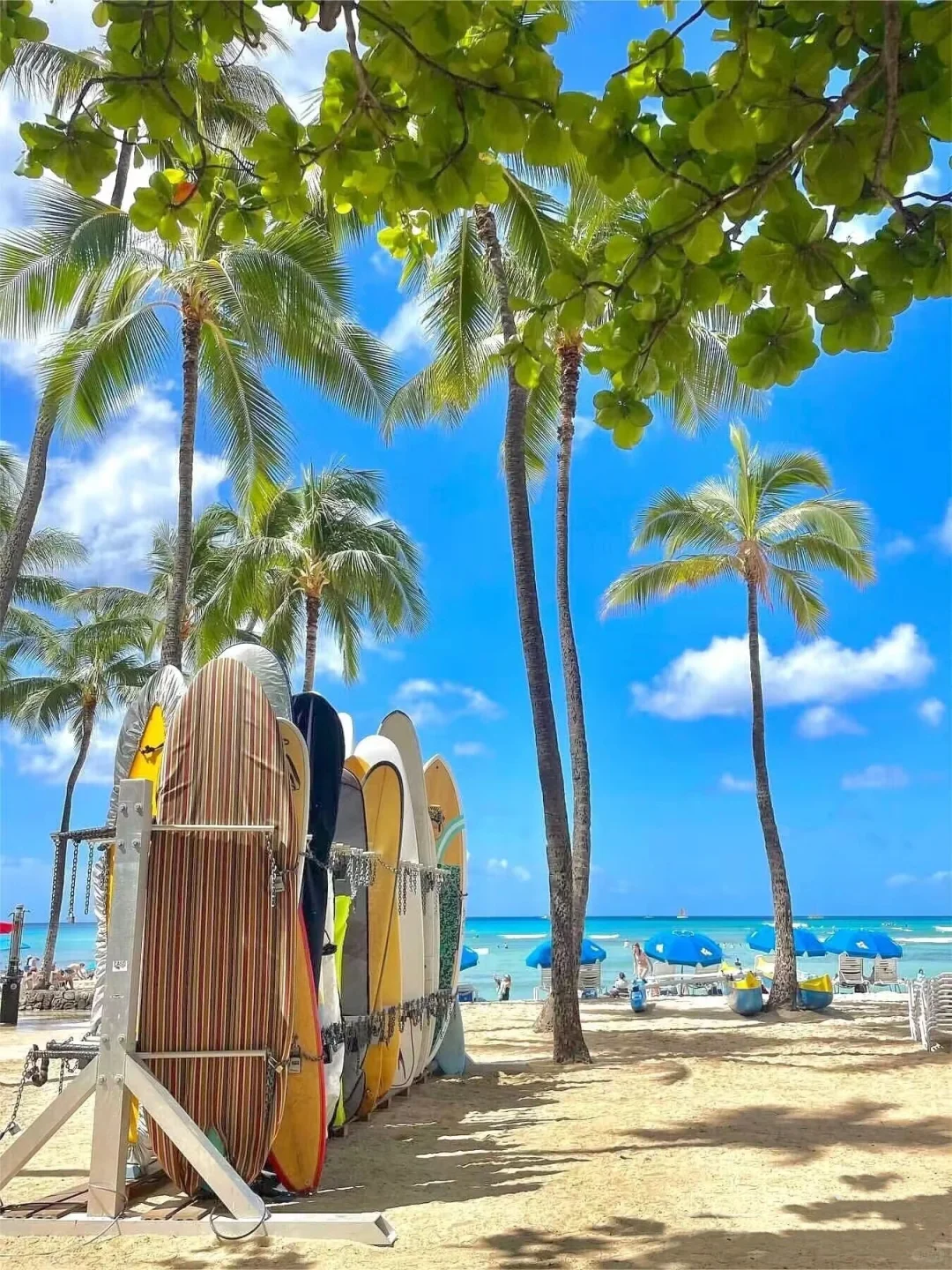 2024 Hawaii | Finally, Someone Breaks Down All the Must-Know Tips for Your Trip!