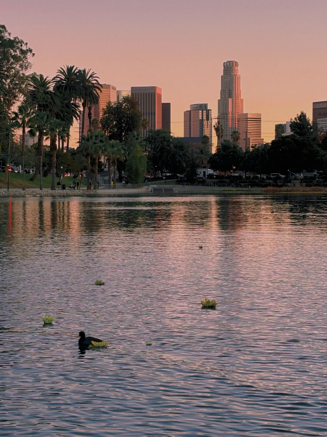 "Absolutely Unreal! The Most Romantic Sunset Spot in Los Angeles 🌅"
