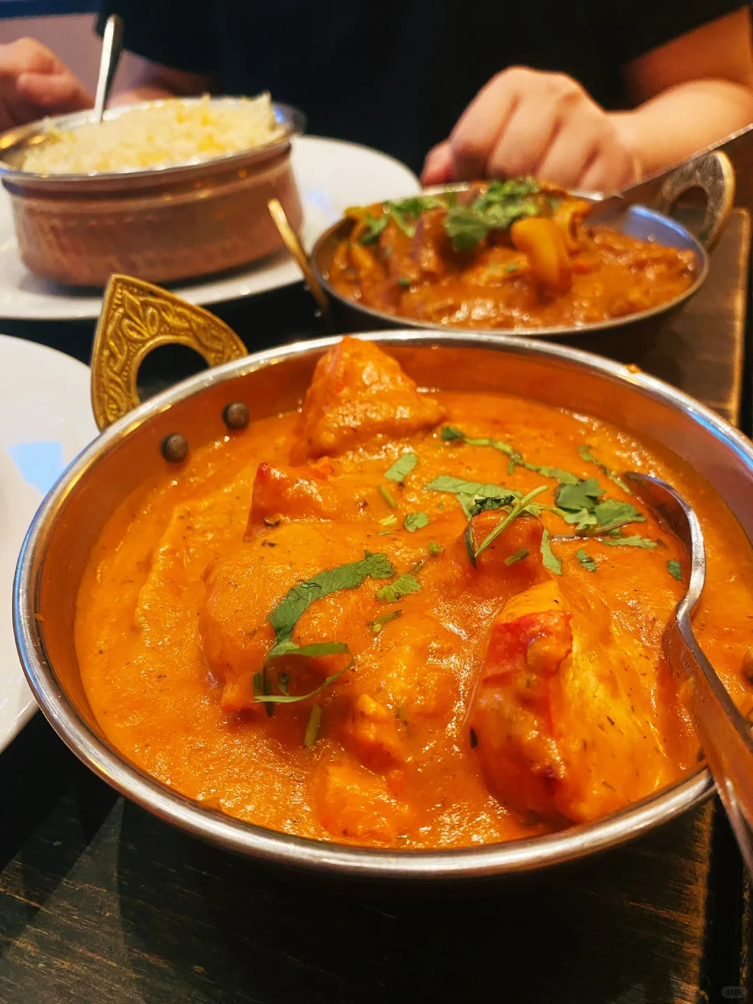 Delicious Indian Food in New York! Free Rice Refills!