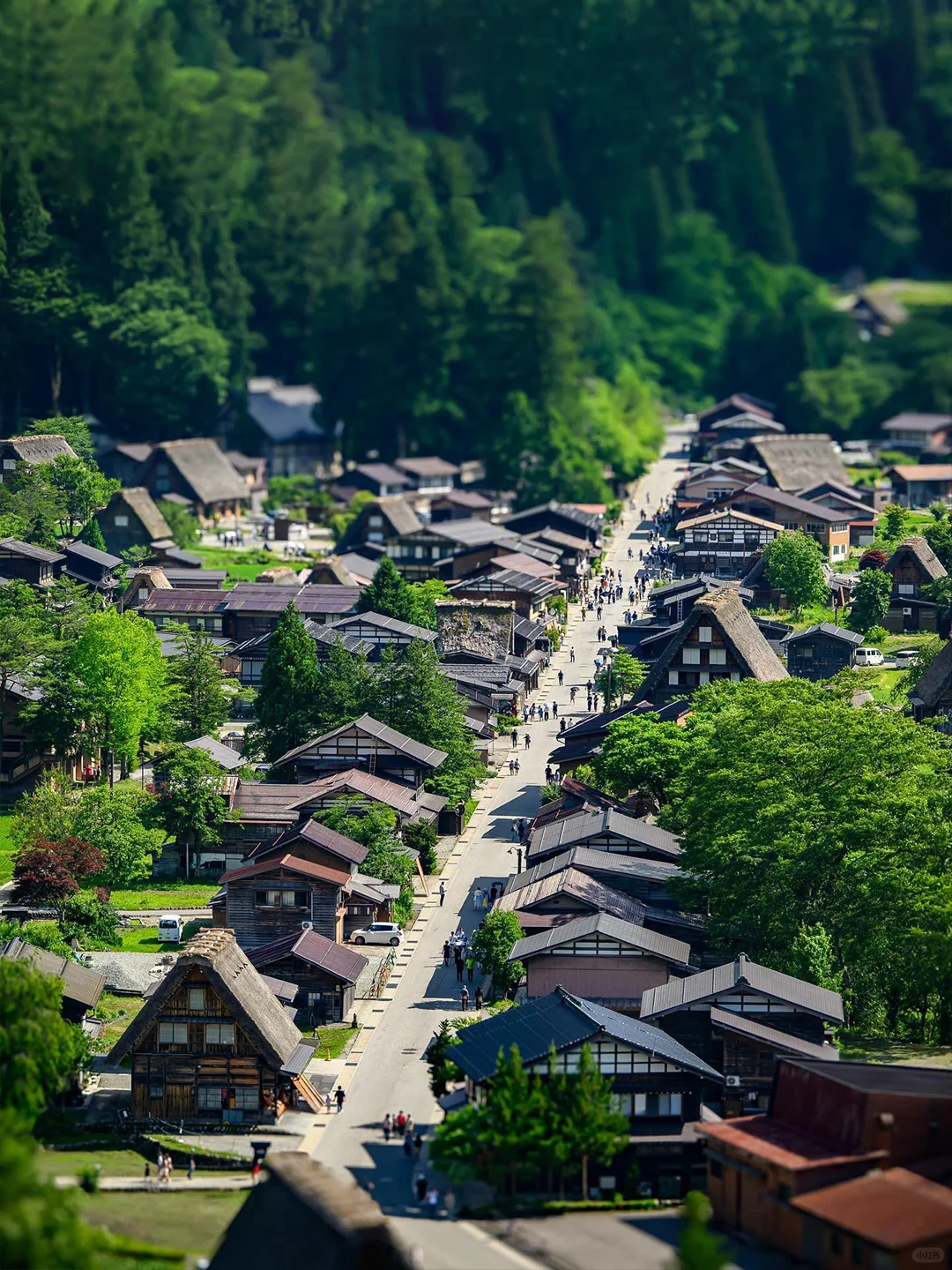 Day Trip to Nagoya & Shirakawa-go | Summer Anime Town Near Osaka