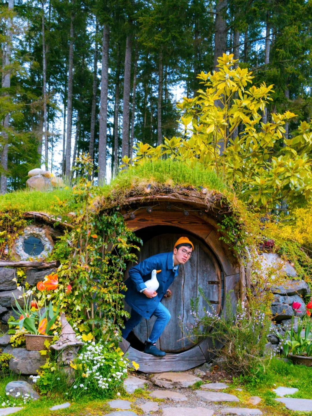 Seattle Area's "Hobbit House" 🧙‍♂️