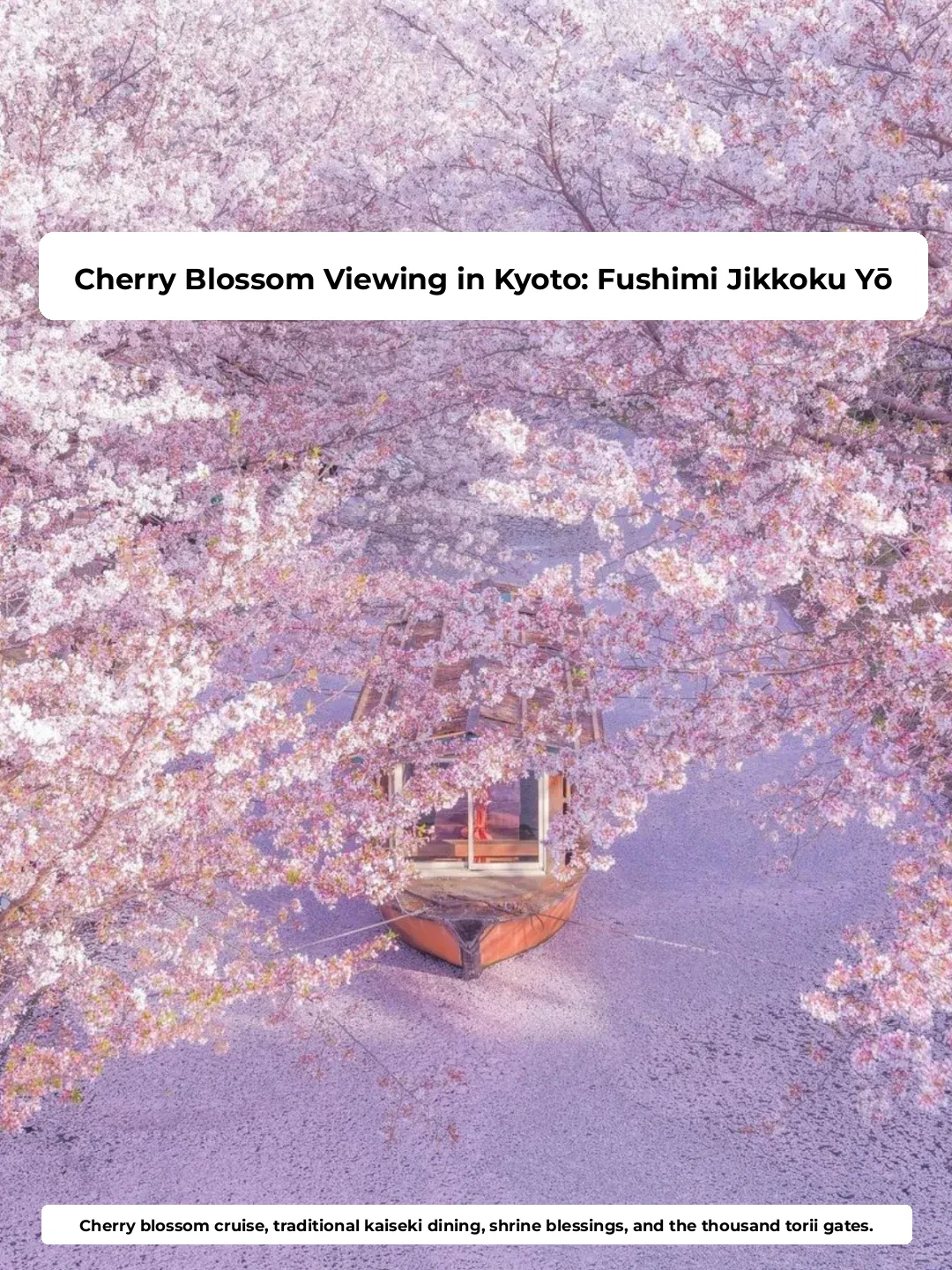 Paddling Through Cherry Blossoms: Kyoto Day Trip with Kaiseki Lunch Included, Starting at Just Over $100 Per Person