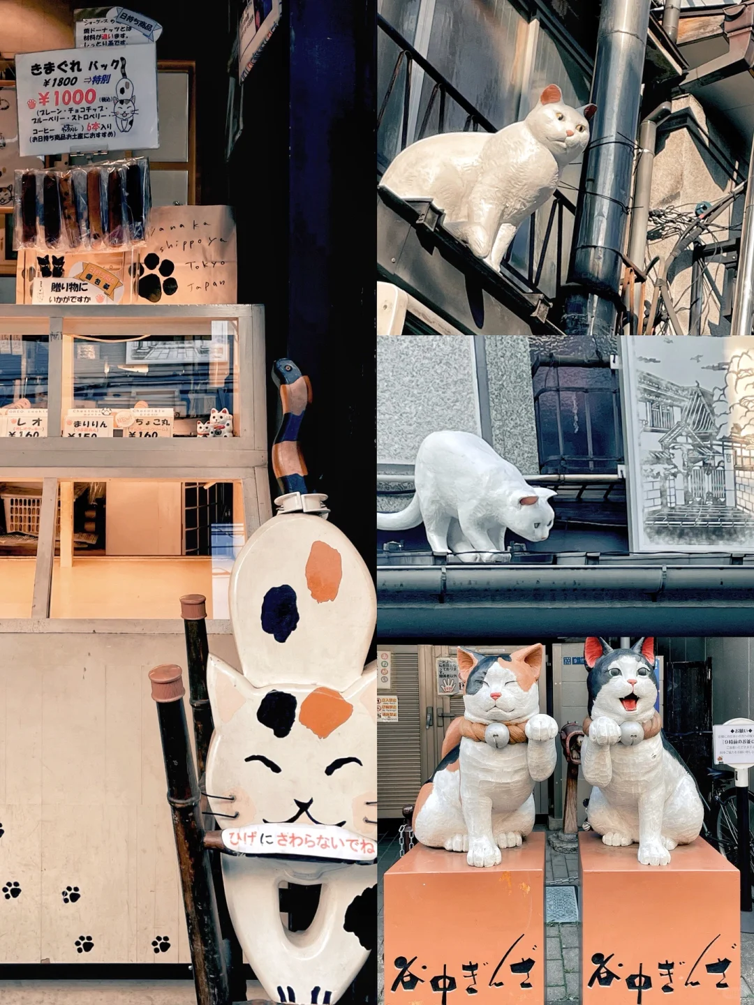 🐈 Don’t Miss Out! Tokyo’s 4 Hidden Cat “Secret Bases” 🐾