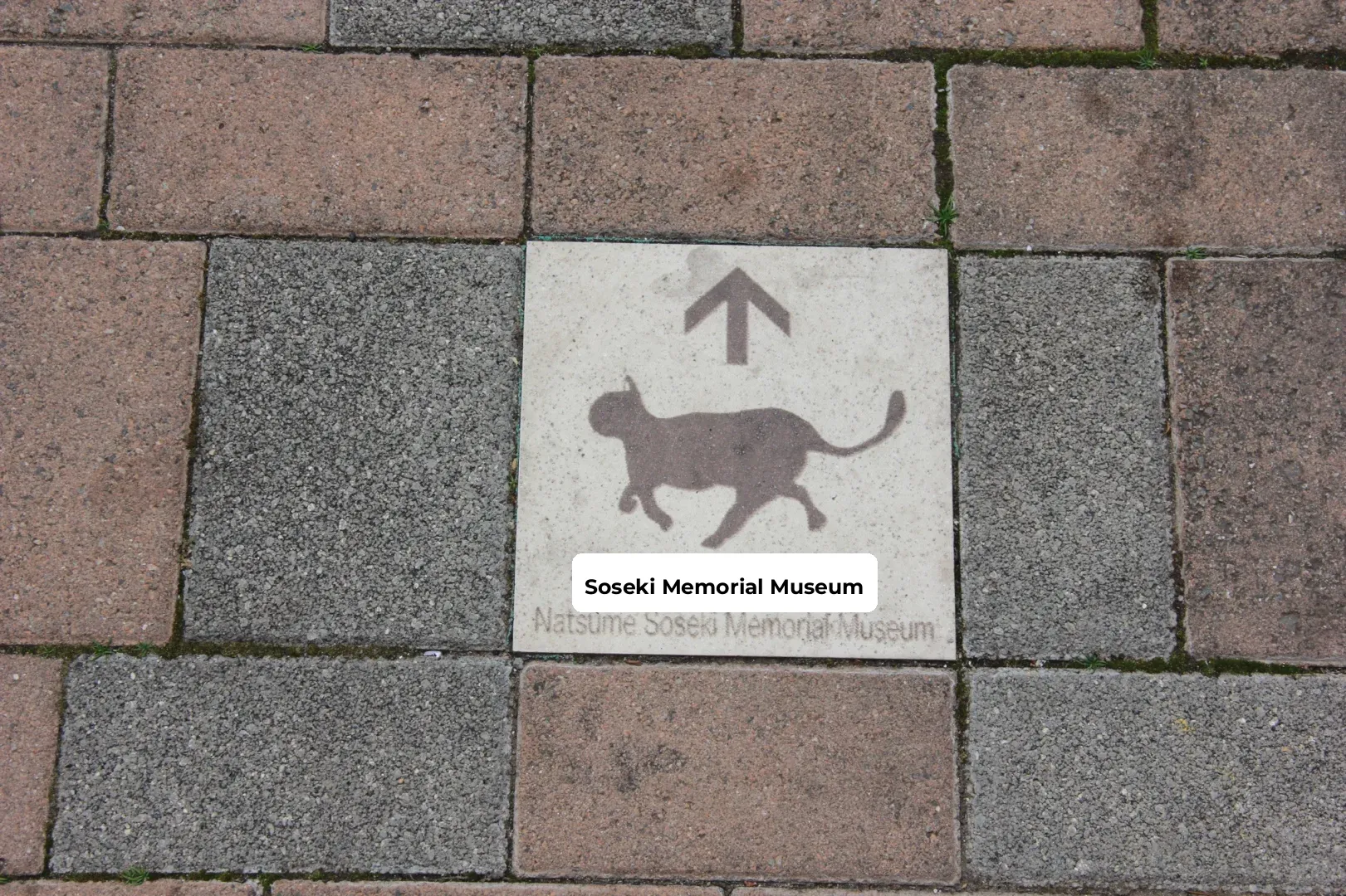 I Uncovered a Charming Artistic Stroll Route in Tokyo