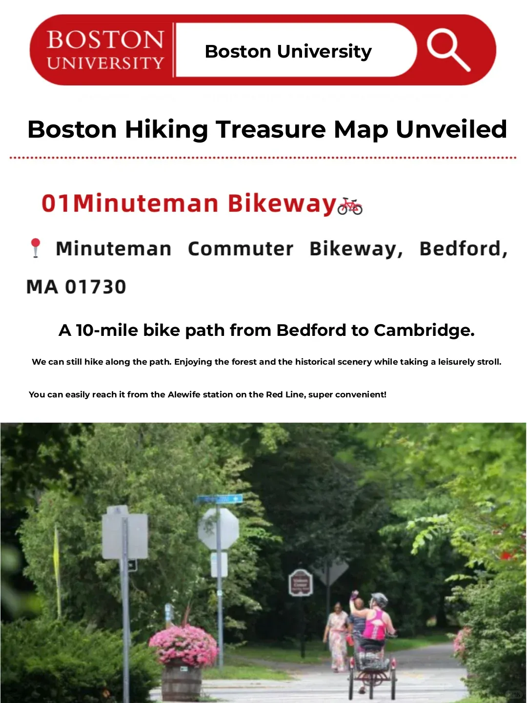Revealing Boston’s Hidden Hiking Gems: Let’s Go Wild This Weekend! 🌳
