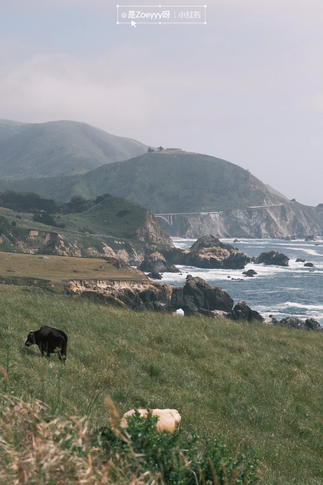 Bay Area | Big Sur Reopens 🌊 These Are the Must-Visit Spots!