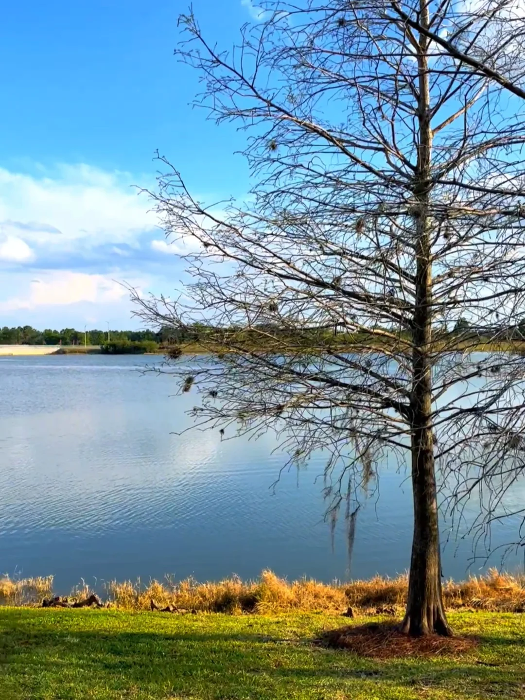 Amazing Eco-Adventures in Orlando, USA