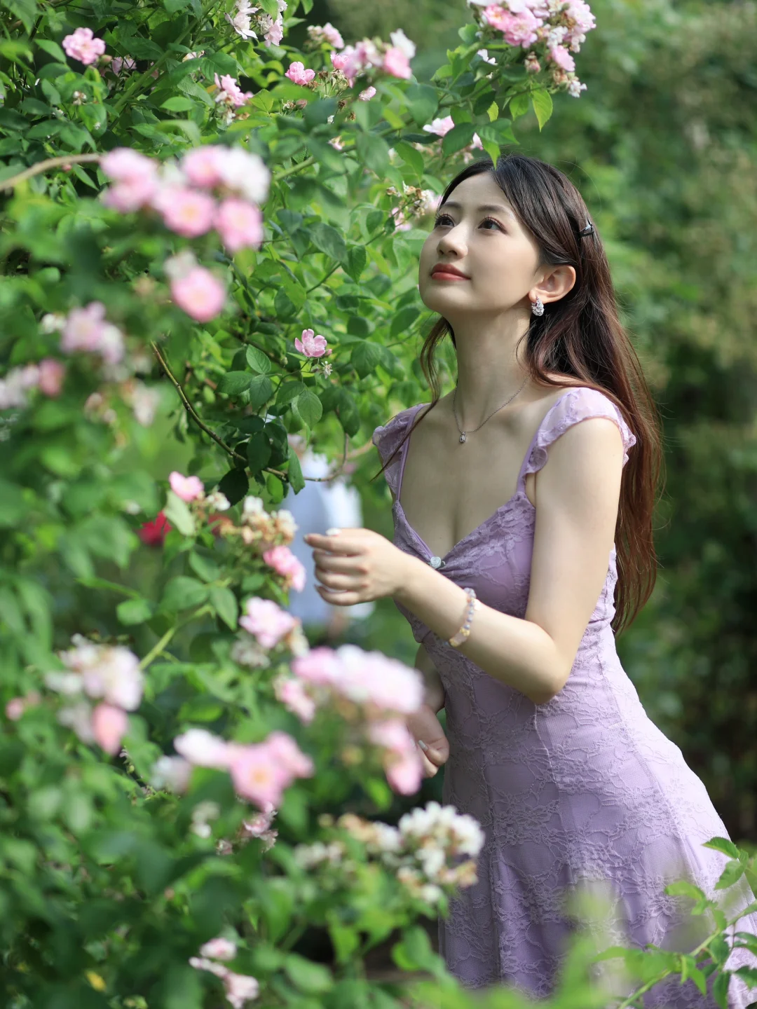 Cranford Rose Garden 🌹 | A Hidden Gem in New York