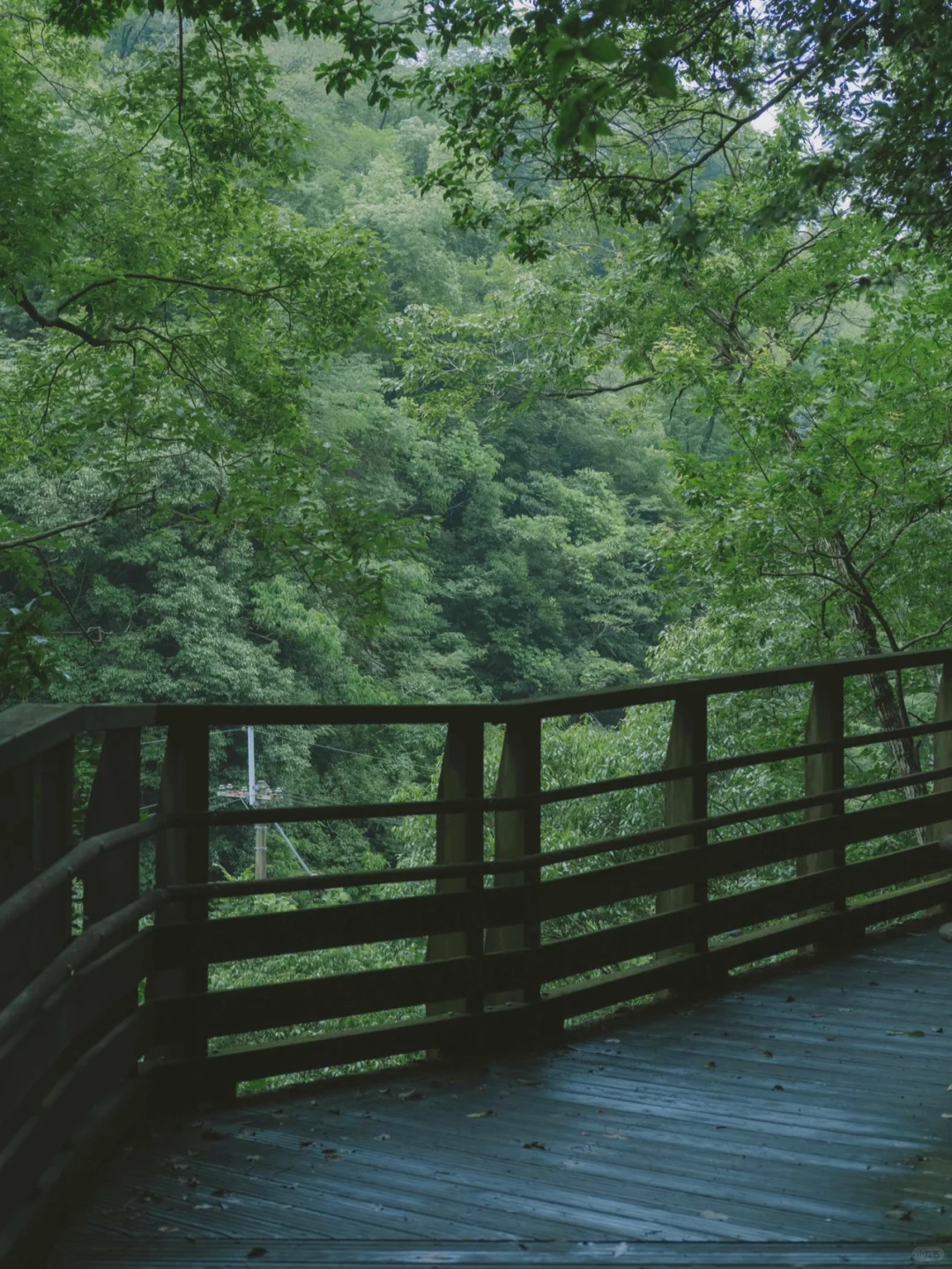 🌤️ Osaka Weekend Getaway: Top Hiking Spots!