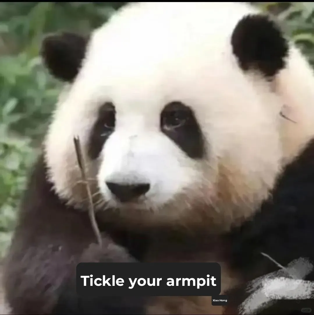 No One Wants My Tokyo Travel Guide Made by a Japan-Bound Student!