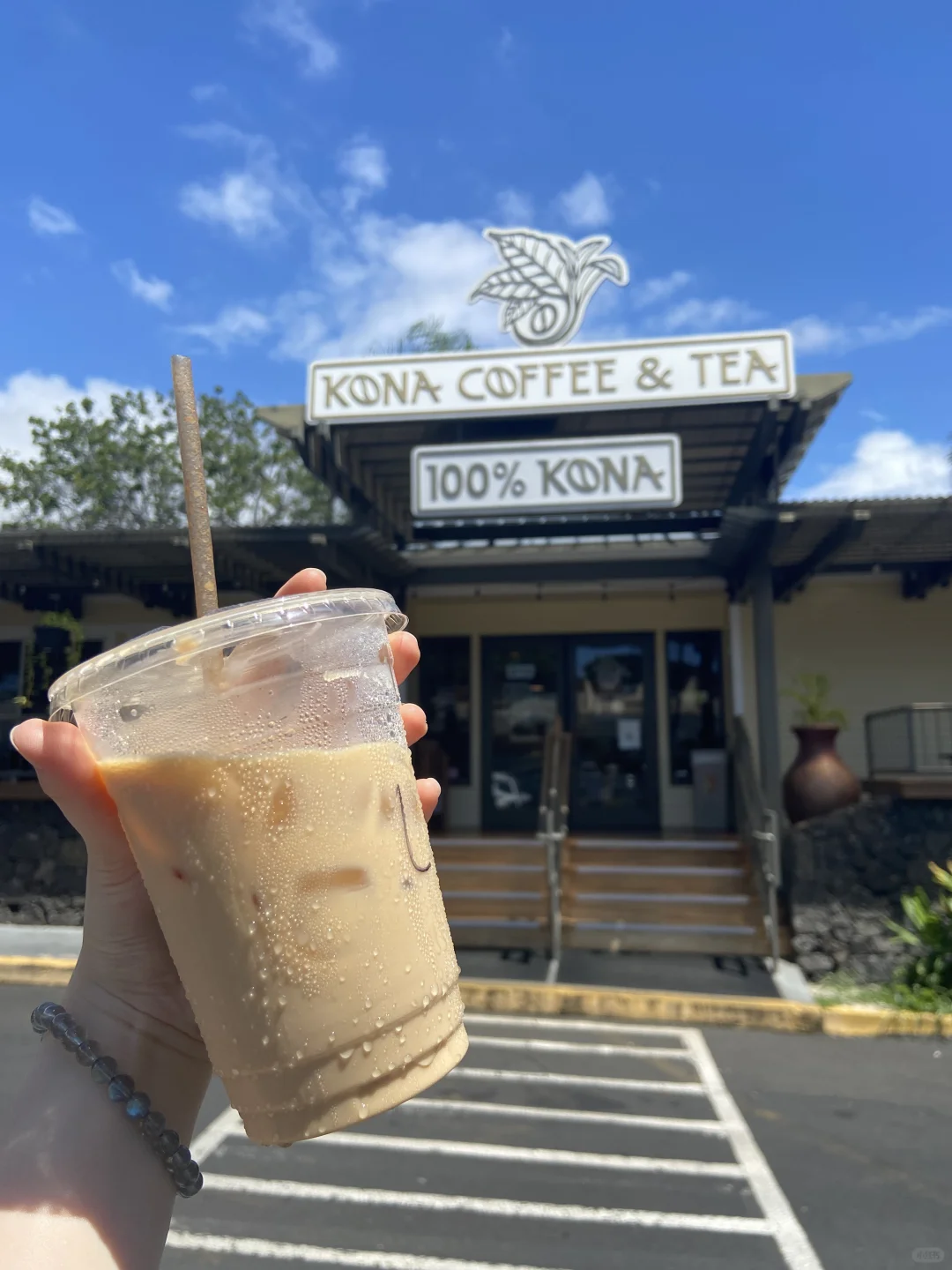 Hawaii | Big Island Food Review 🌴