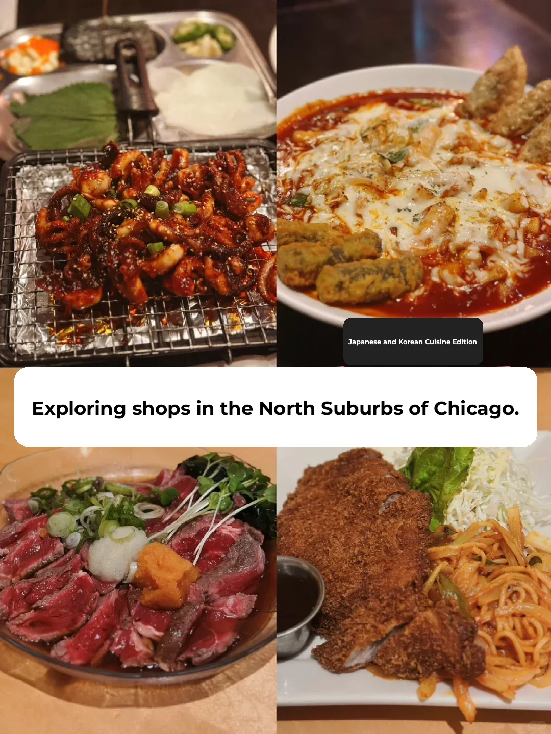 Chicago | Food Hunt in the Northern Suburbs: Struck Gold with Two Back-to-Back Restaurant Visits 😋