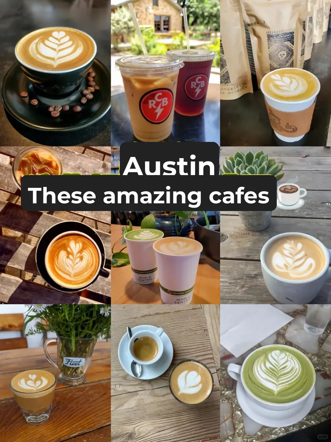 These Amazing Coffee Shops in Austin ☕