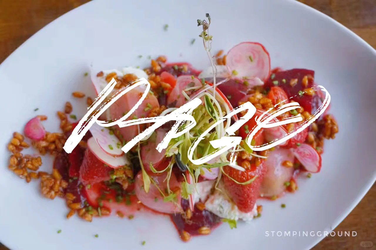 Salt Lake City | Restaurant Recommendation | PAGO