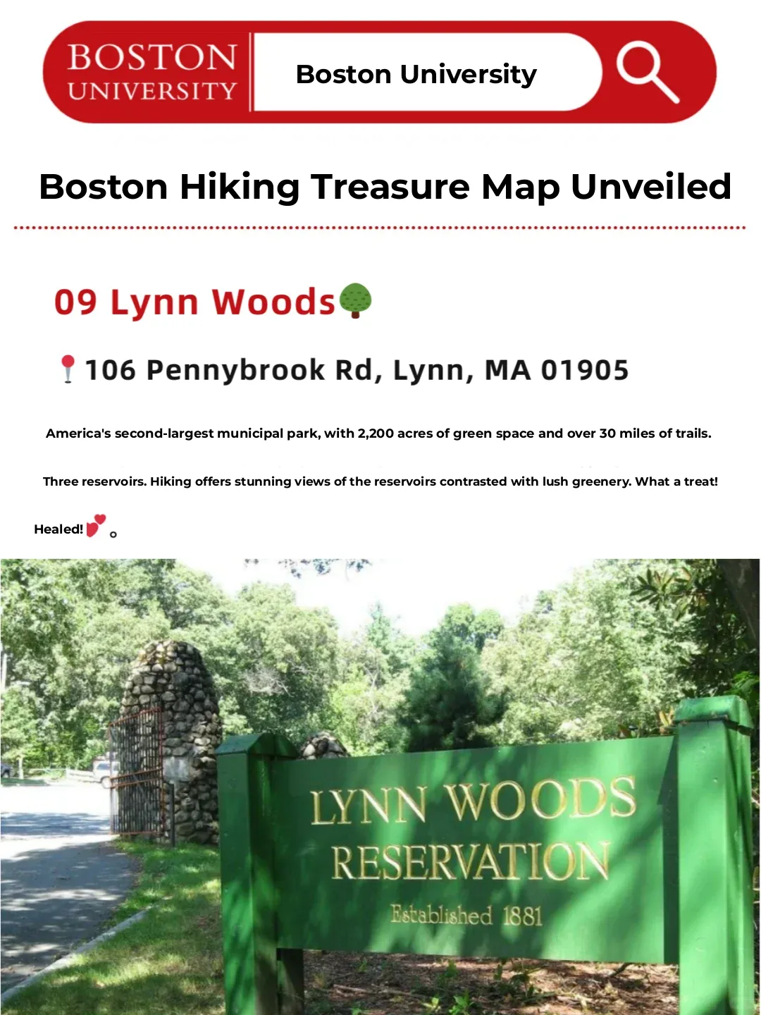 Revealing Boston’s Hidden Hiking Gems: Let’s Go Wild This Weekend! 🌳