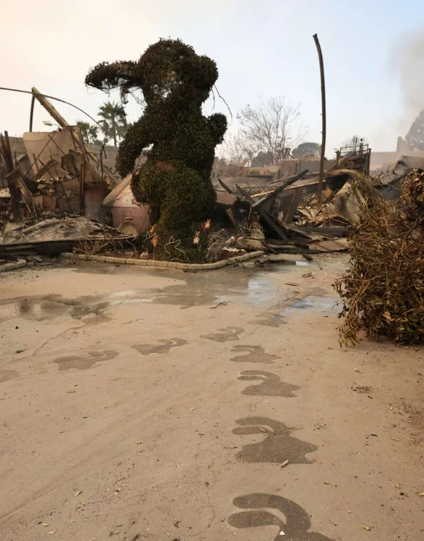 Los Angeles' One-of-a-Kind Bunny Museum Burns Down, Shattering the Curator's 40-Year Dream