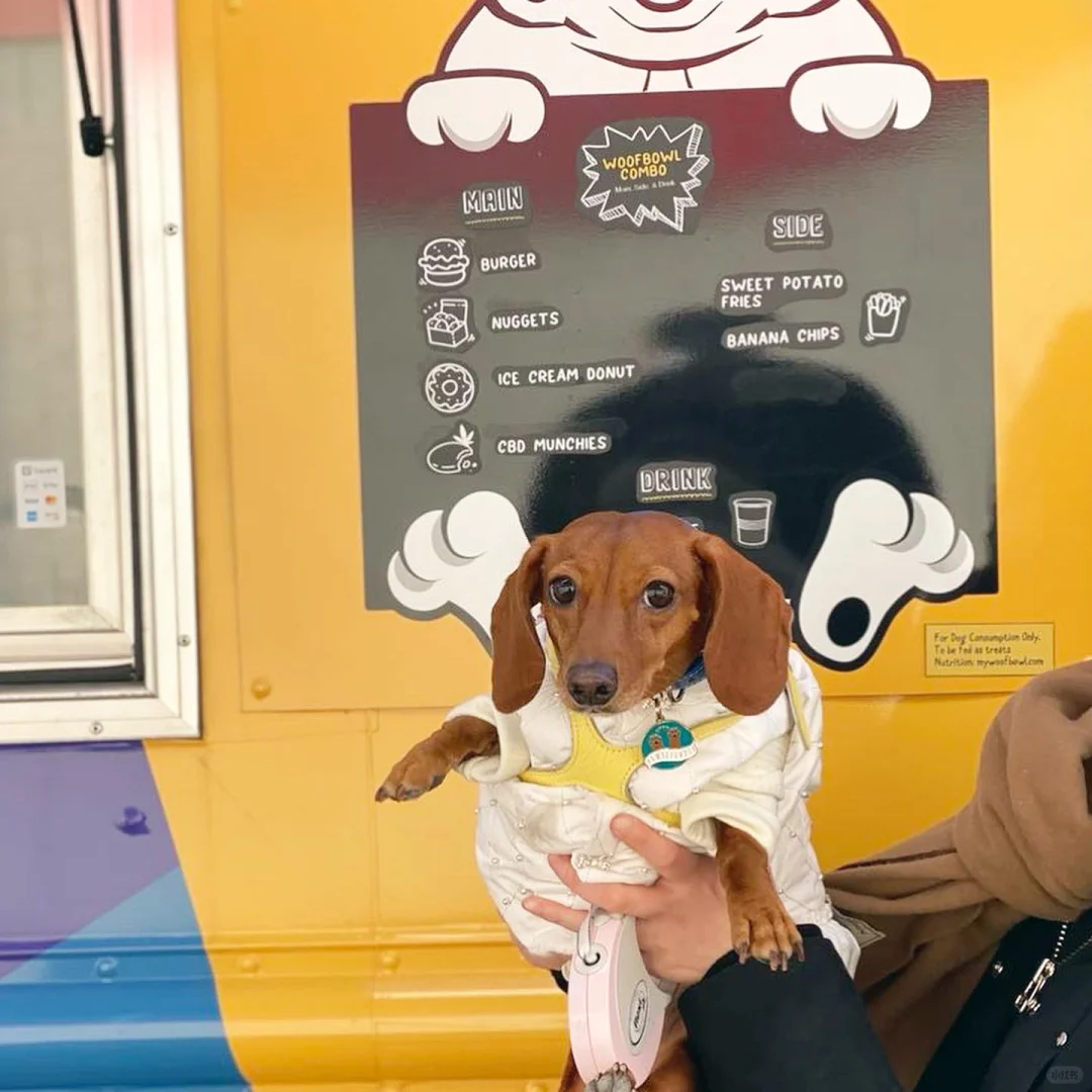 New York's Hottest Doggie Food Truck