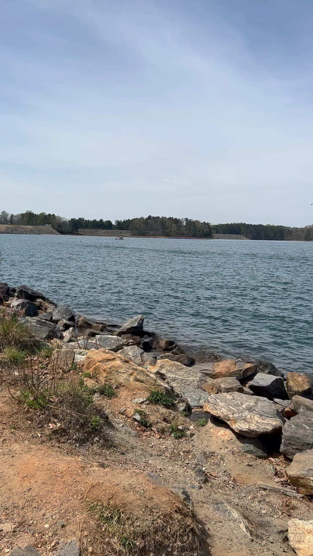 Picnic at Lake Lanier in Atlanta