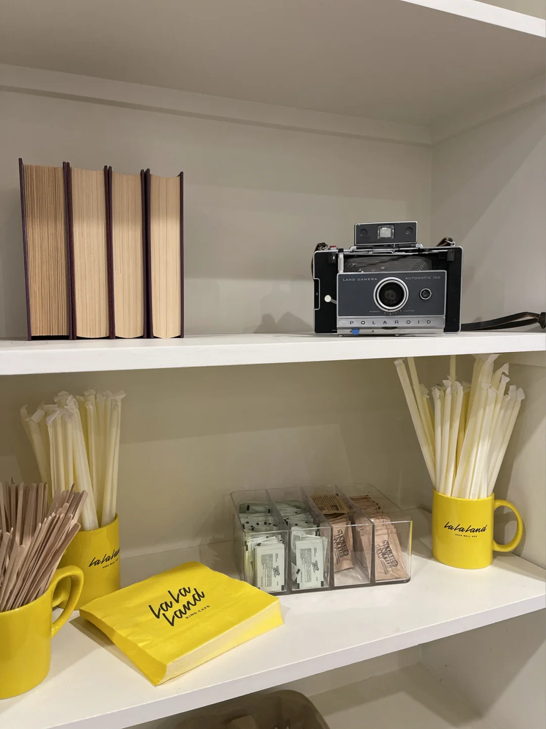 Keep Going, Hard Workers ☀️｜Who Isn’t Relying on Coffee to Survive? ☕️