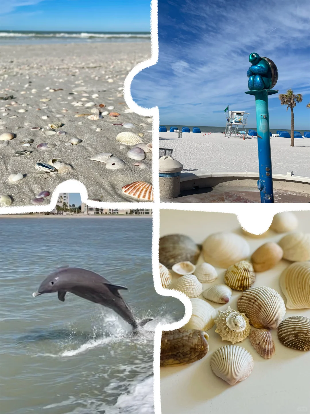 Truly Relaxing in Tampa Clearwater with Kids Without Renting a Car