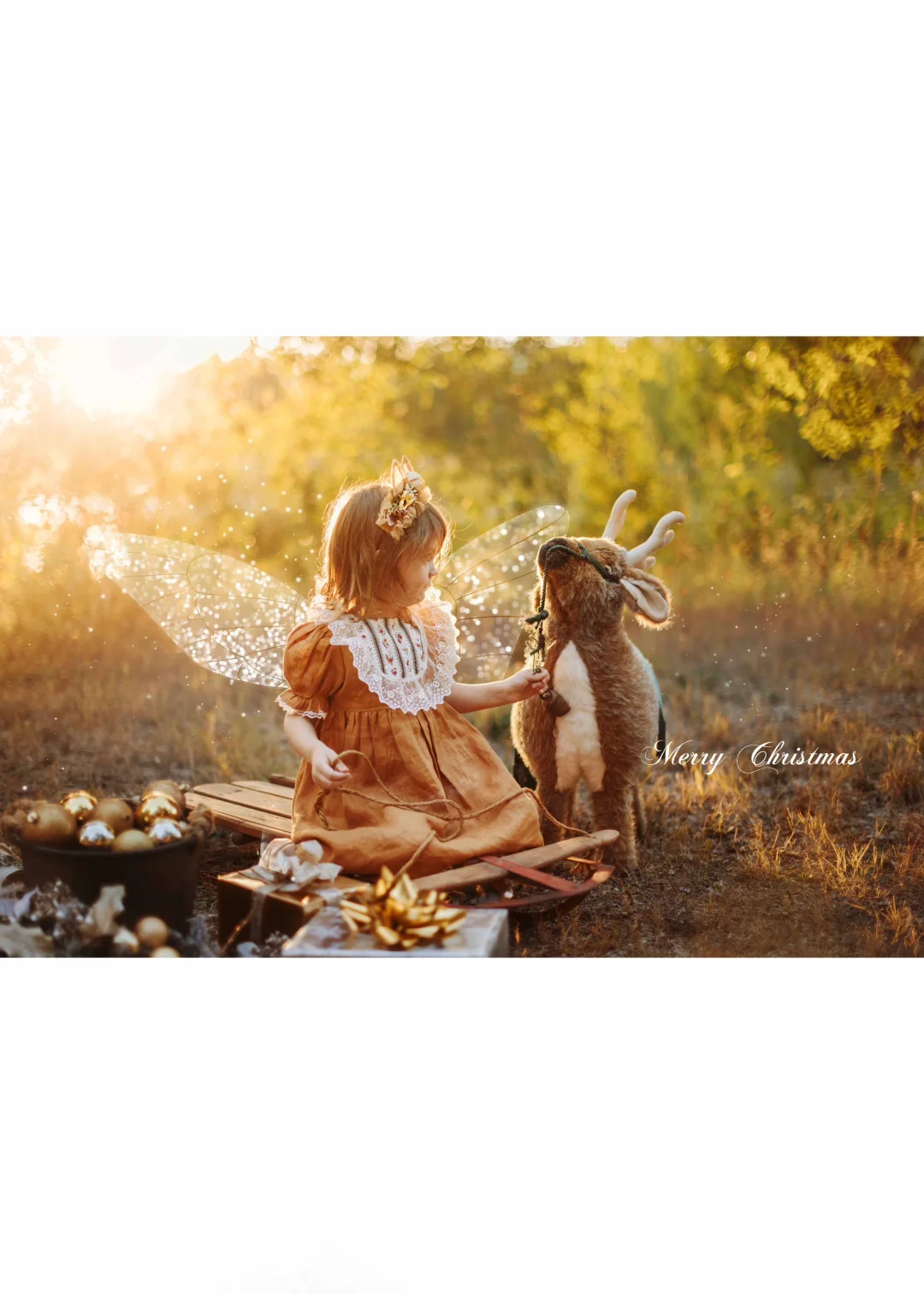 2023 Christmas Mini Session