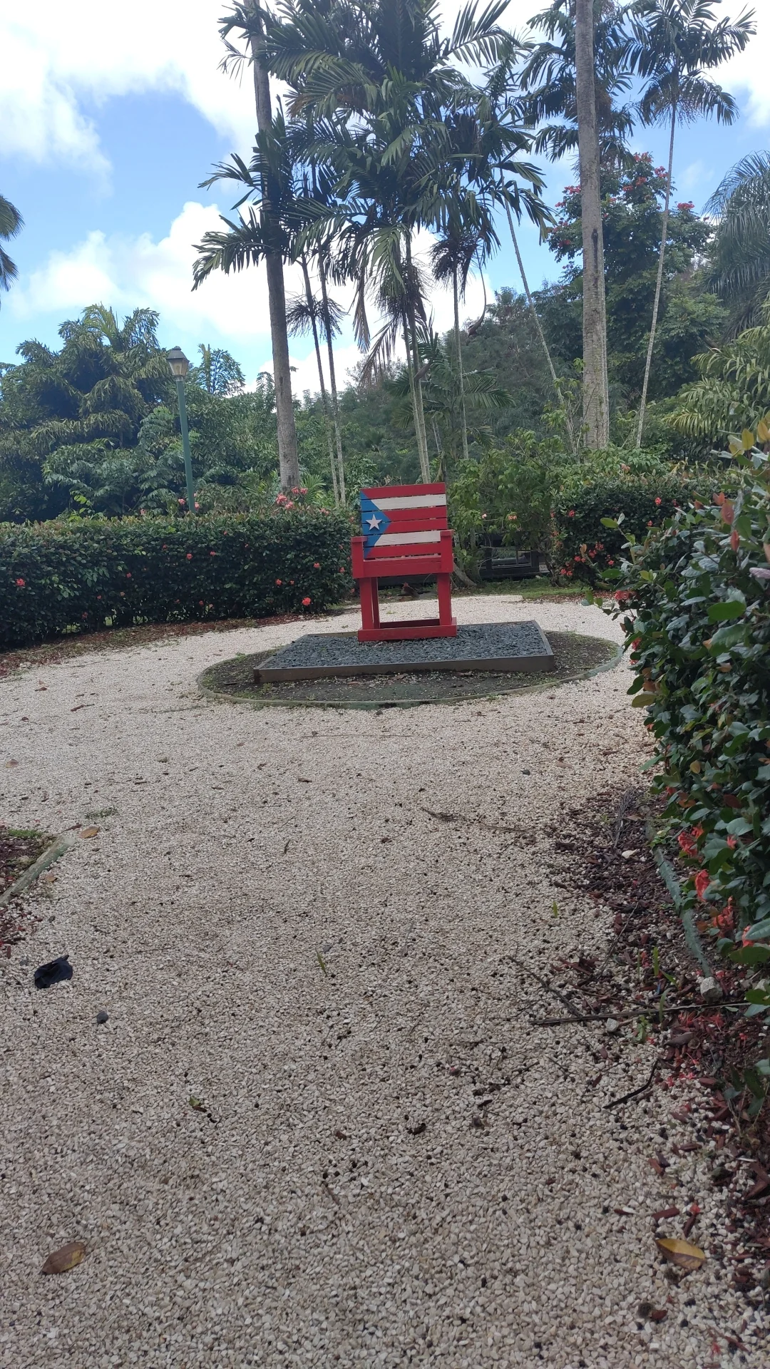 Exploring the Botanical Garden: A Green Oasis in the City