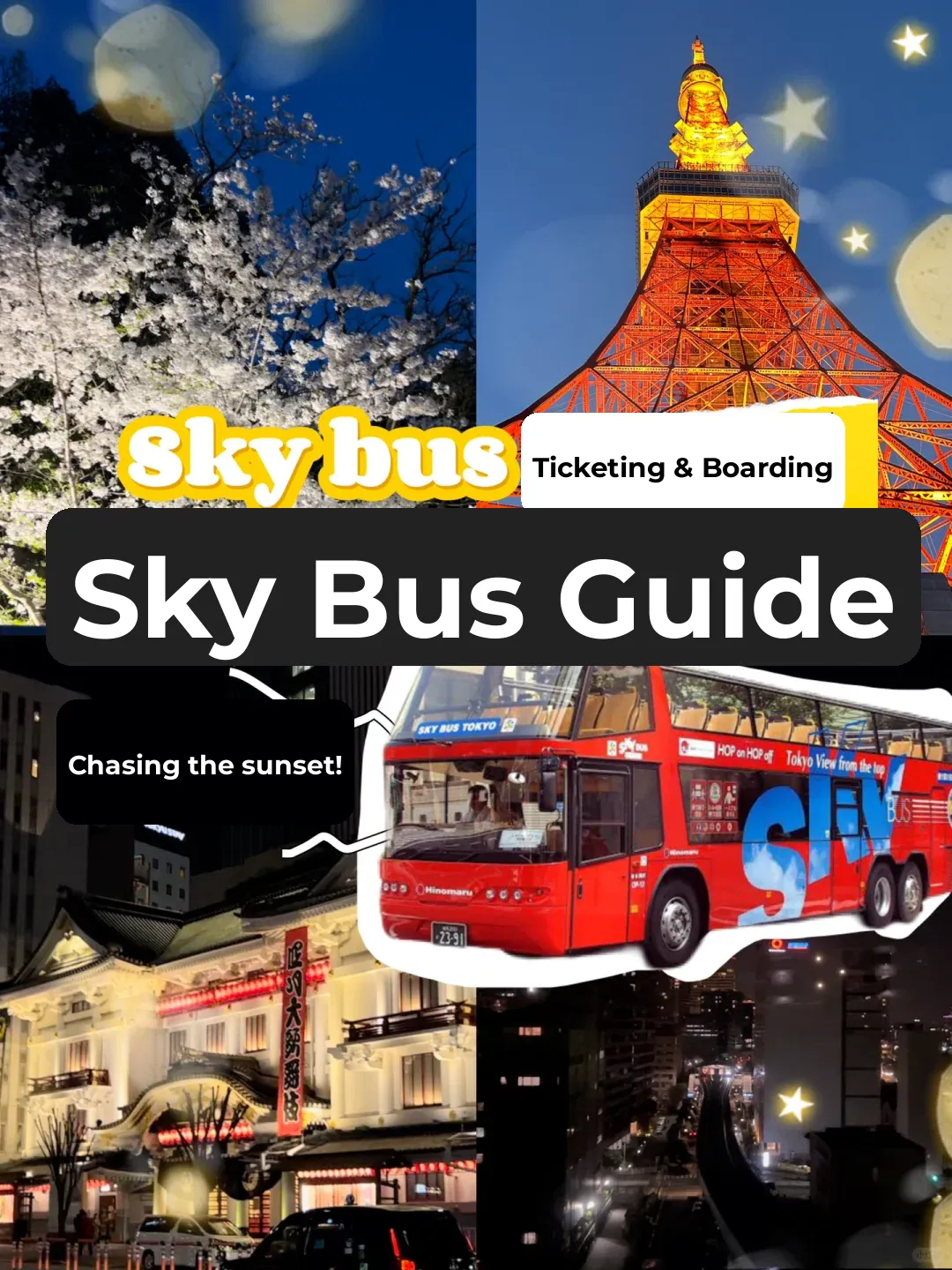 Step-by-Step Guide to Cruising Around Tokyo City 🌟