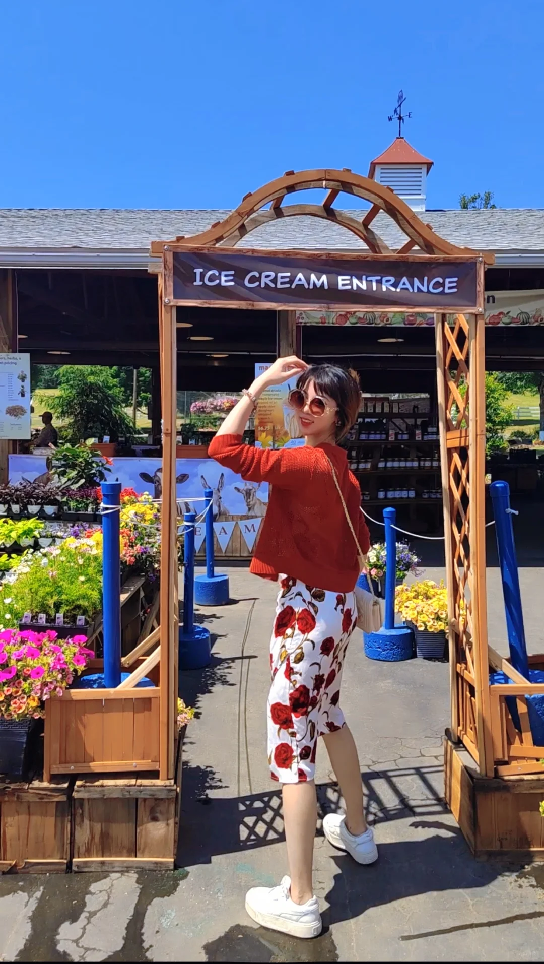 Top Farm Recommendations Near NYC!! Get Your Hands on Some Cute Wolves 🐺