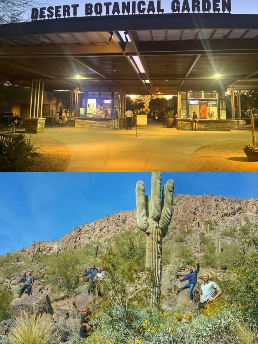 Phoenix, Arizona: A Desert Oasis of Adventure and Culture