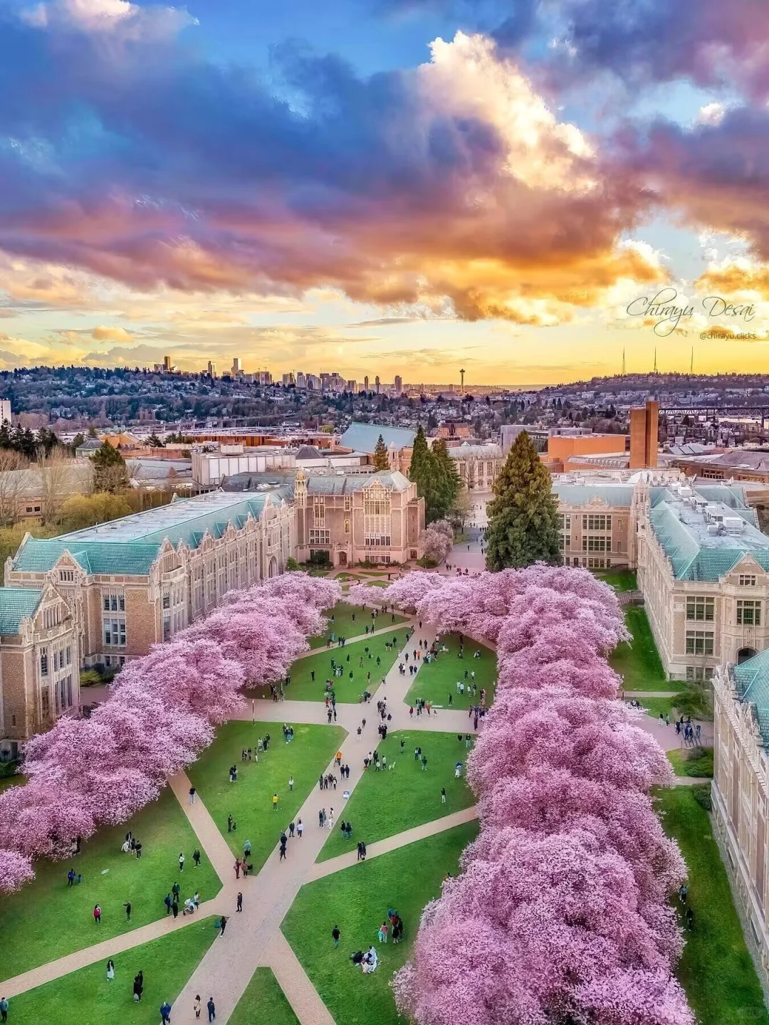 Spring in Seattle: 10 Must-Visit Spots You Can't Miss!