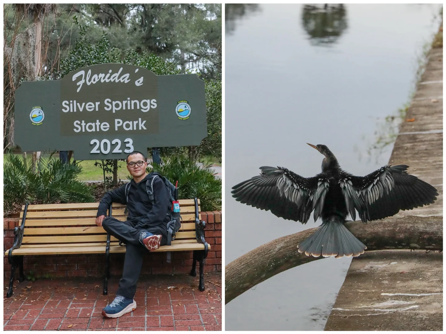 14-Day Road Trip with Kids from Toronto to Florida: Days 5-6, Tampa Part 1 ☀️