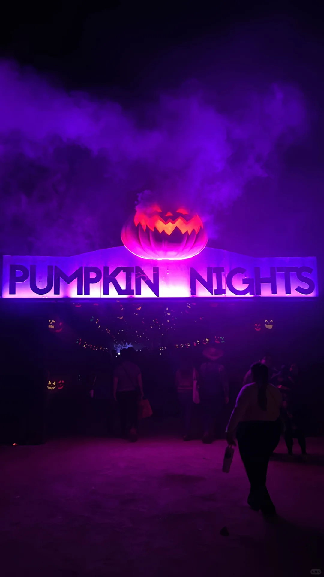 Austin | Autumn Exclusive: Pumpkin Nights