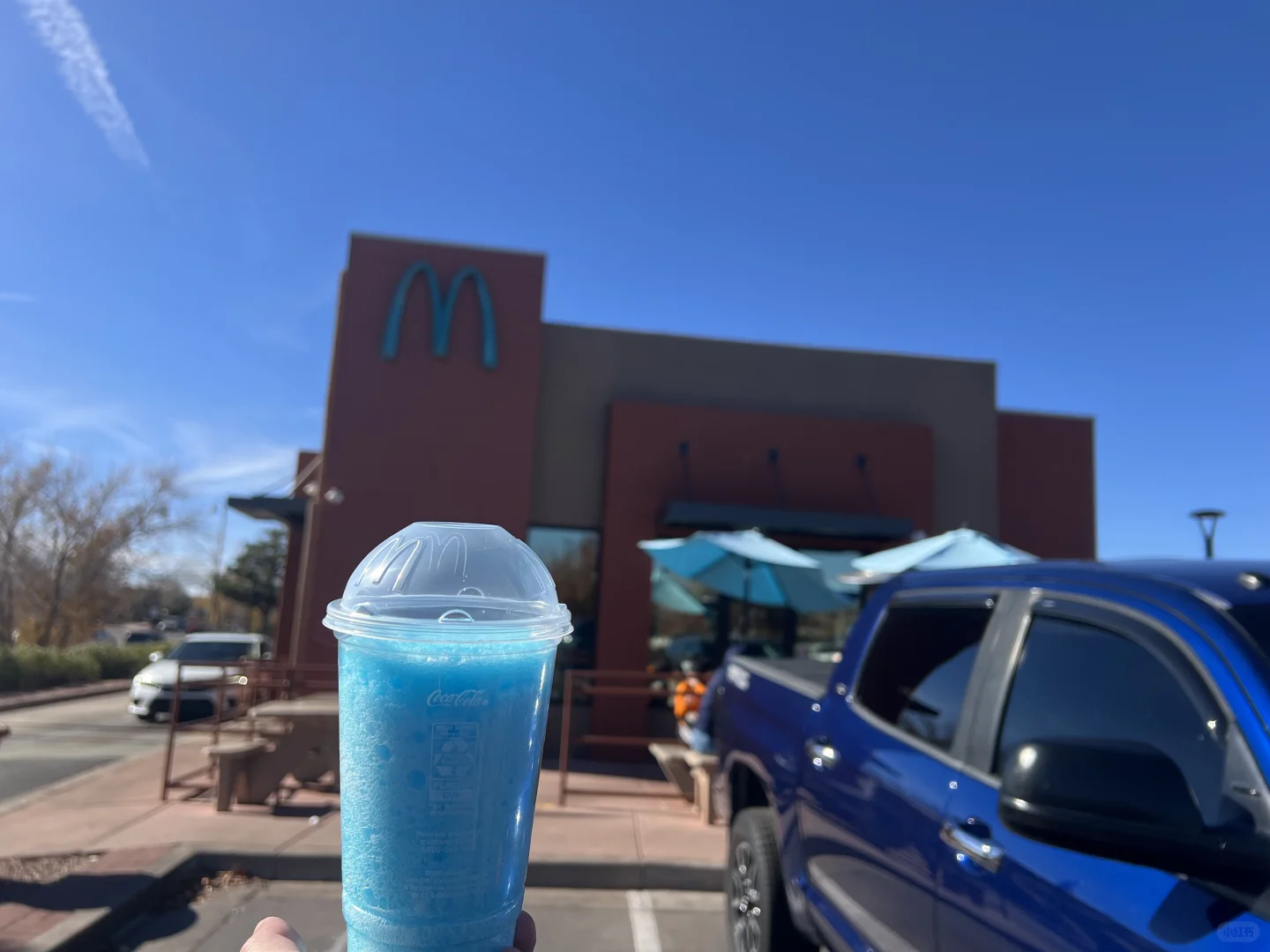 You're Doing It Wrong—The Only Blue McDonald's and the Climbing Dog Park