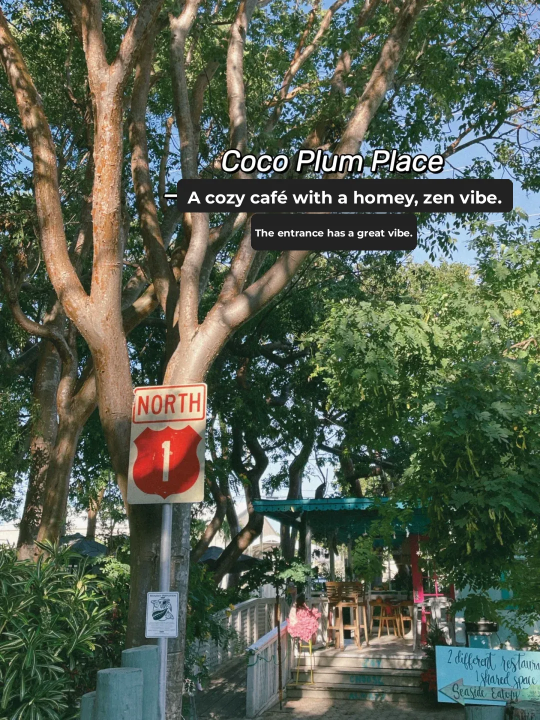 Miami Area Getaway ☀️ Key Largo 💙 48 Hours of Chill Vibes