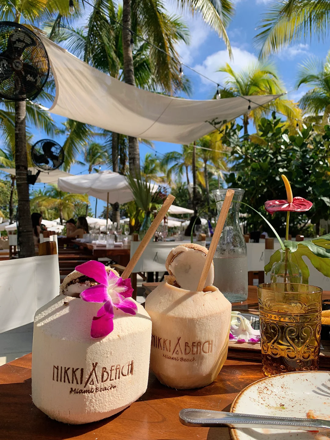 Before Heading to Miami, Grab This Ultimate Food Guide 🌴