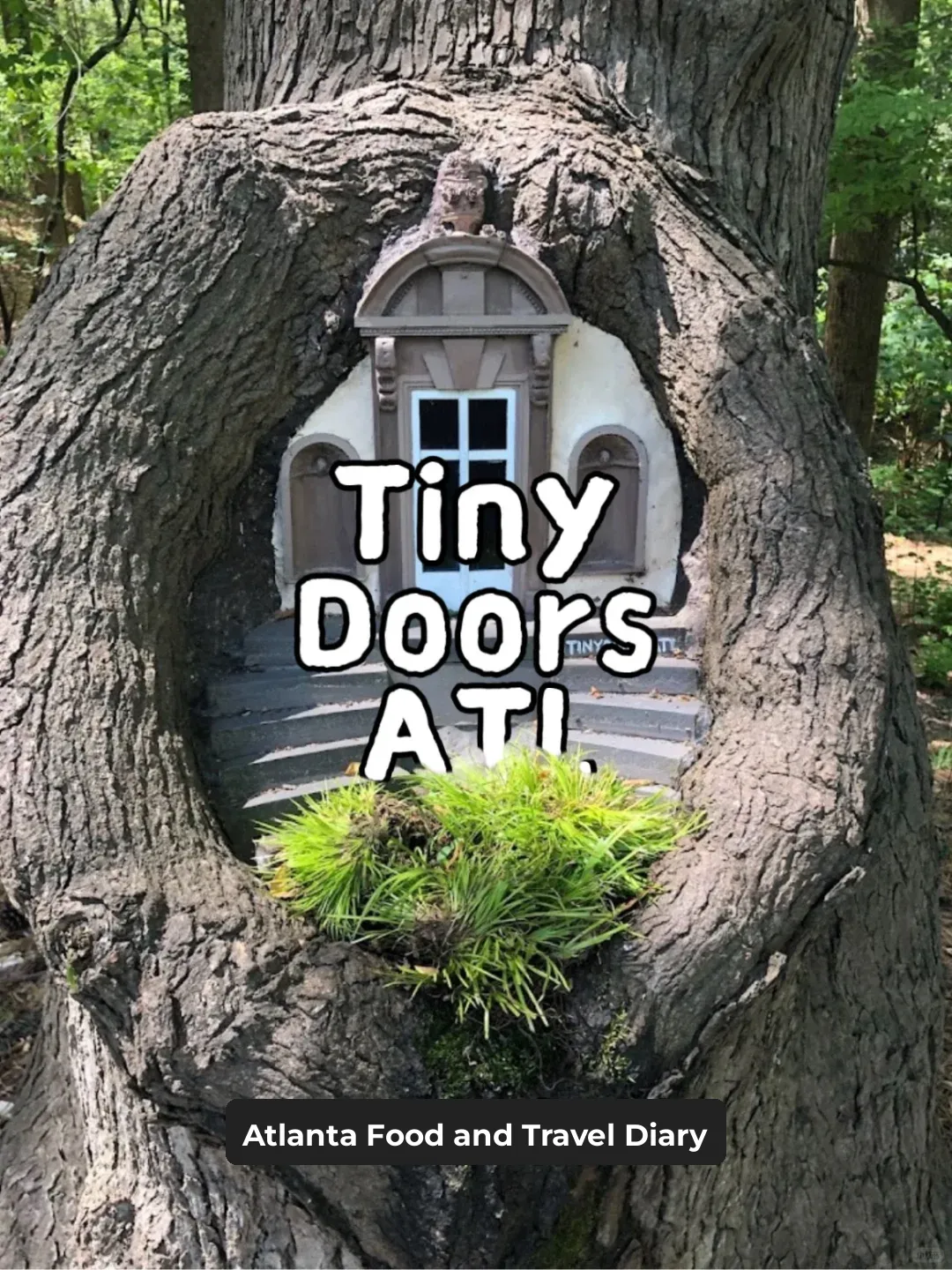Weekend Getaways in Atlanta | Tiny Doors ATL