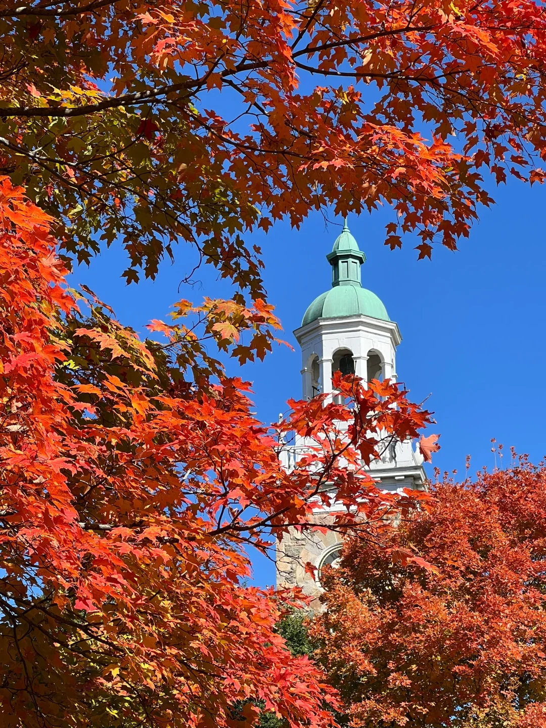 Around Boston | Everywhere You Look is a Maple Wonderland When Autumn Peaks 🍁
