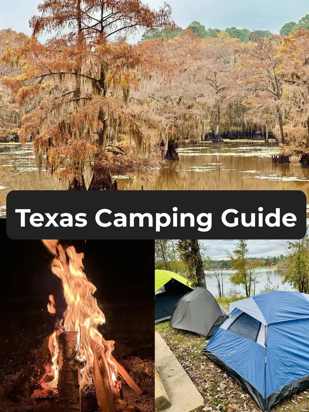 Texas Camping⛺️: Stunning Fall Views at Caddo Lake & Three Campgrounds to Explore