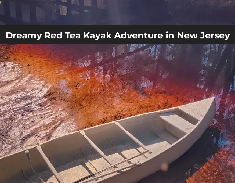 Another 37°C in the Northeast? Come here for a boat ride and beat the heat at the same time!