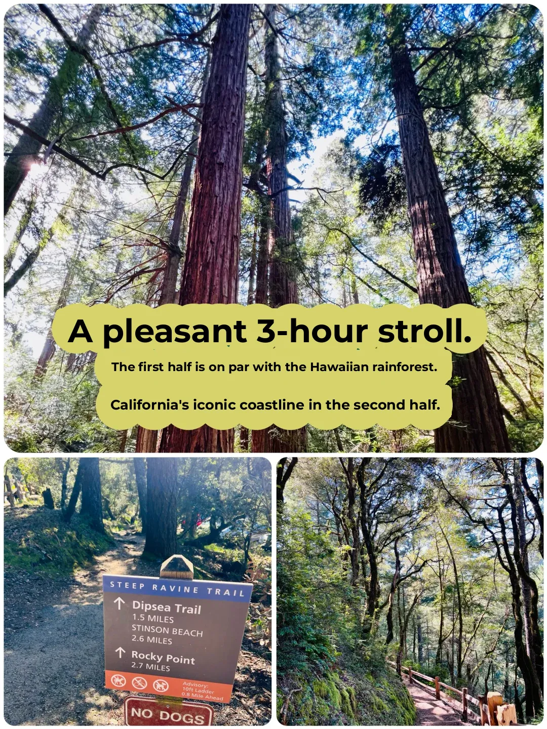 J-Bay Weekend | North Bay's Hidden Gem: "Mini Hawaii Rainforest" Waterfall Trail